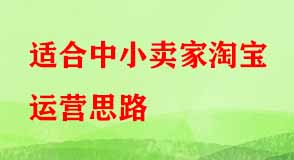 適合中小賣家淘寶運(yùn)營思路